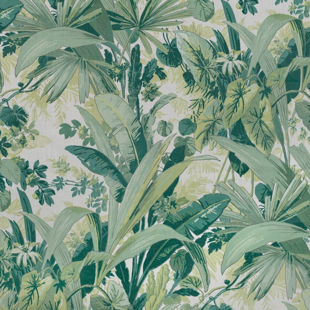 Tallulah | LF - Jungle/Oyster