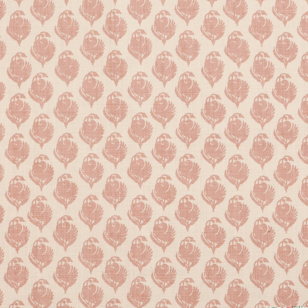 Jaisalmer | LF - Jaipur Pink