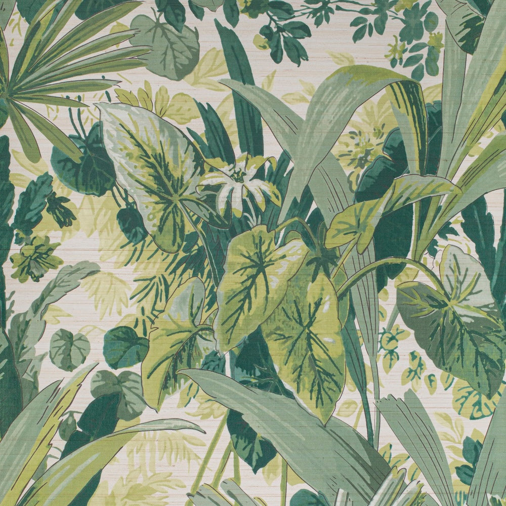Tallulah Grasscloth | LF - Jungle/Oyster