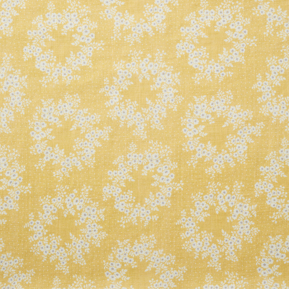 Lolly | LOC - Pollen