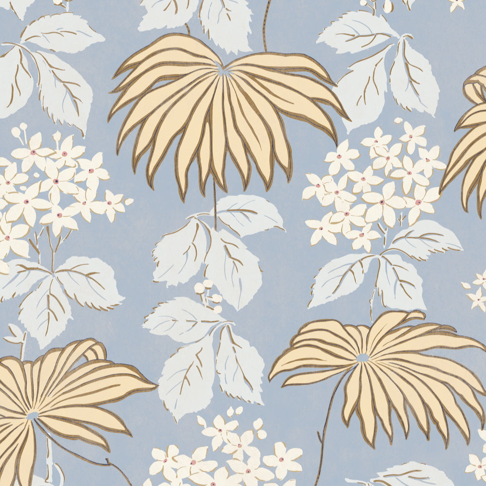 Honor WP | LOC - Wedgwood