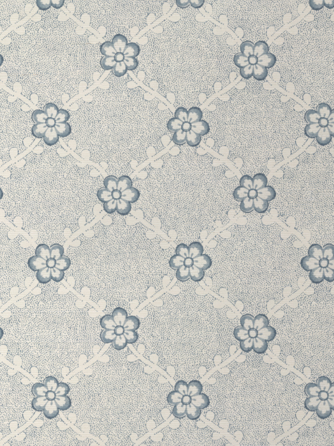 Lucia GC | NT - Blue