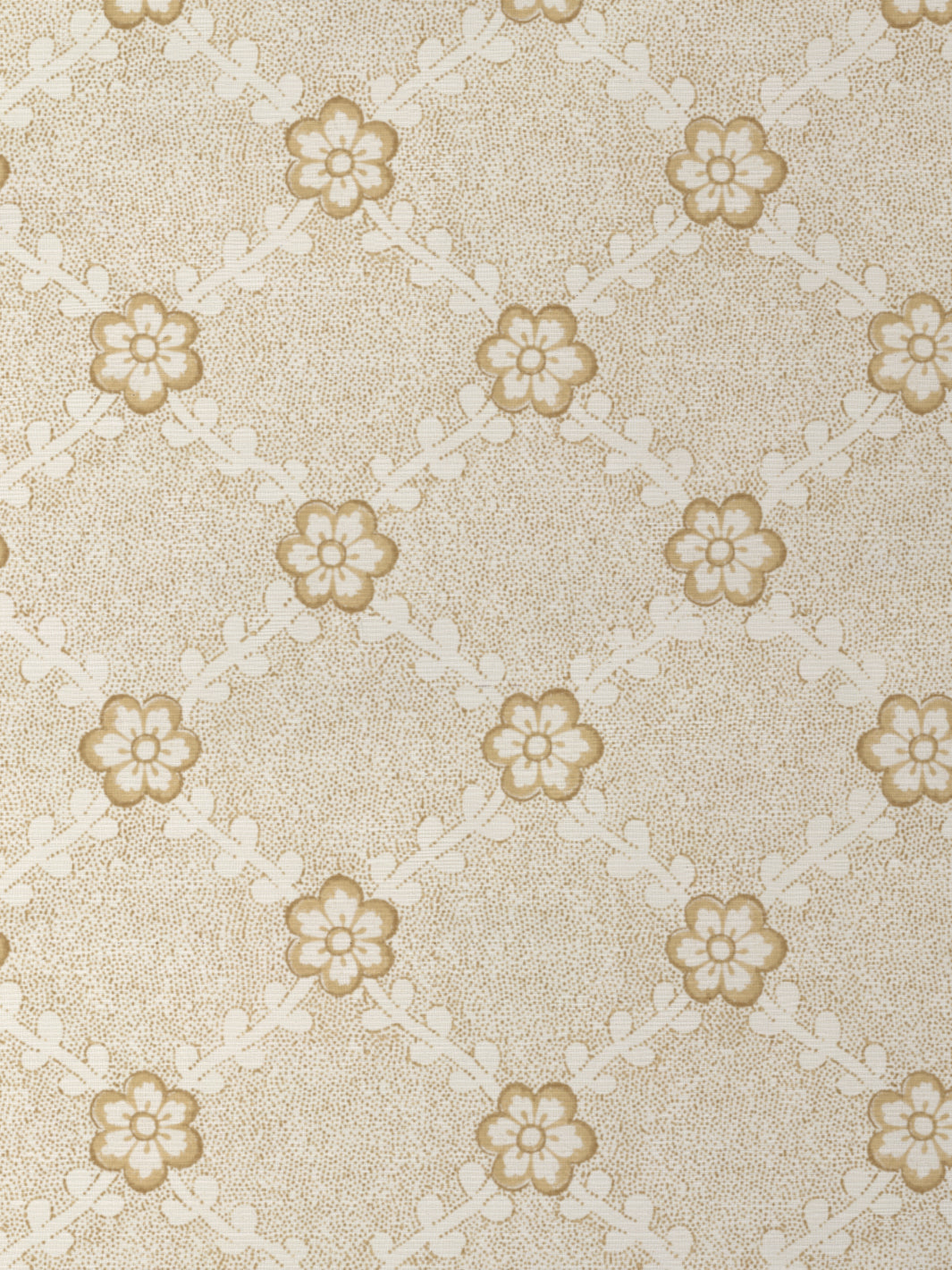 Lucia GC | NT - Gold