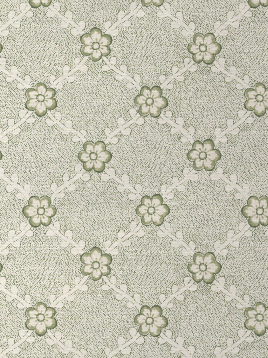 Lucia GC | NT - Green