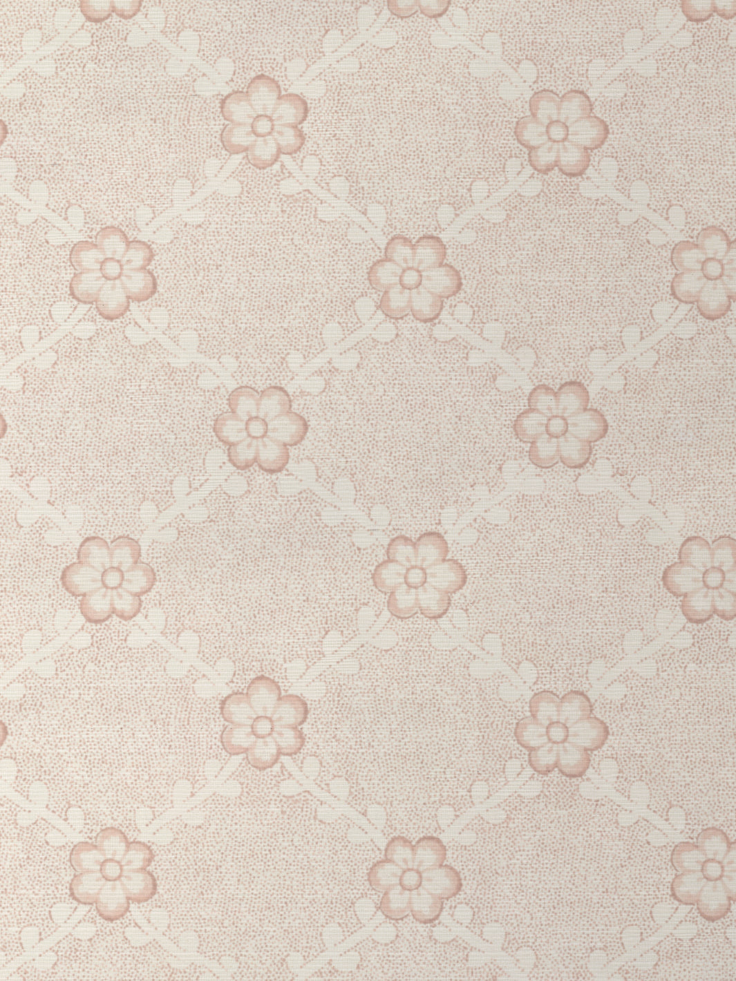 Lucia GC | NT - Pink