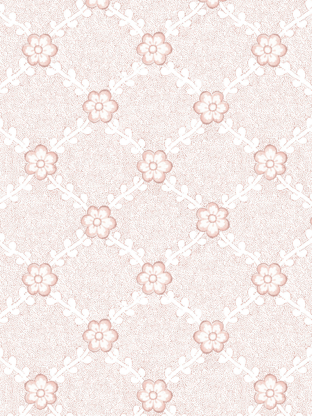 Lucia WP | NT - Pink