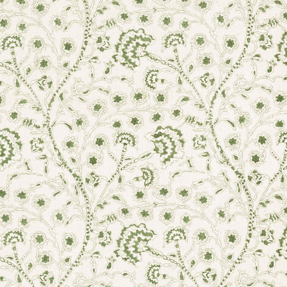 Bikkia | MCP - Fern