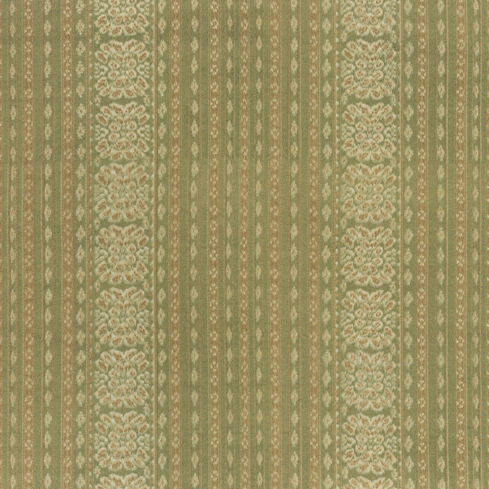 Japonica | MCP - Olive