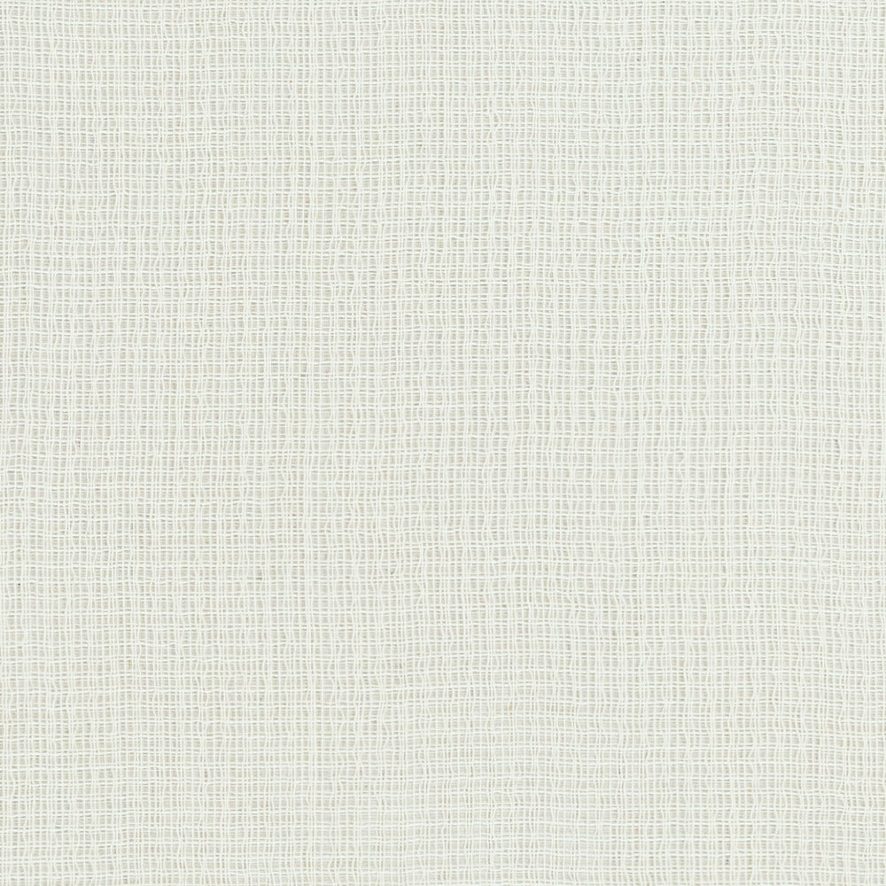 Nikko | MCP - Oyster