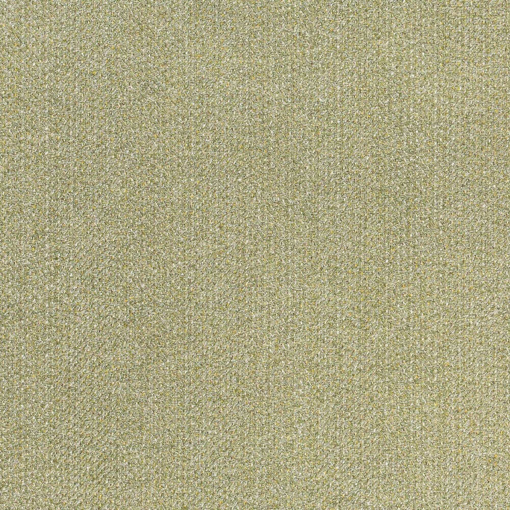 Nile | MCP - Lichen