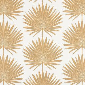 Palmetto | MCP