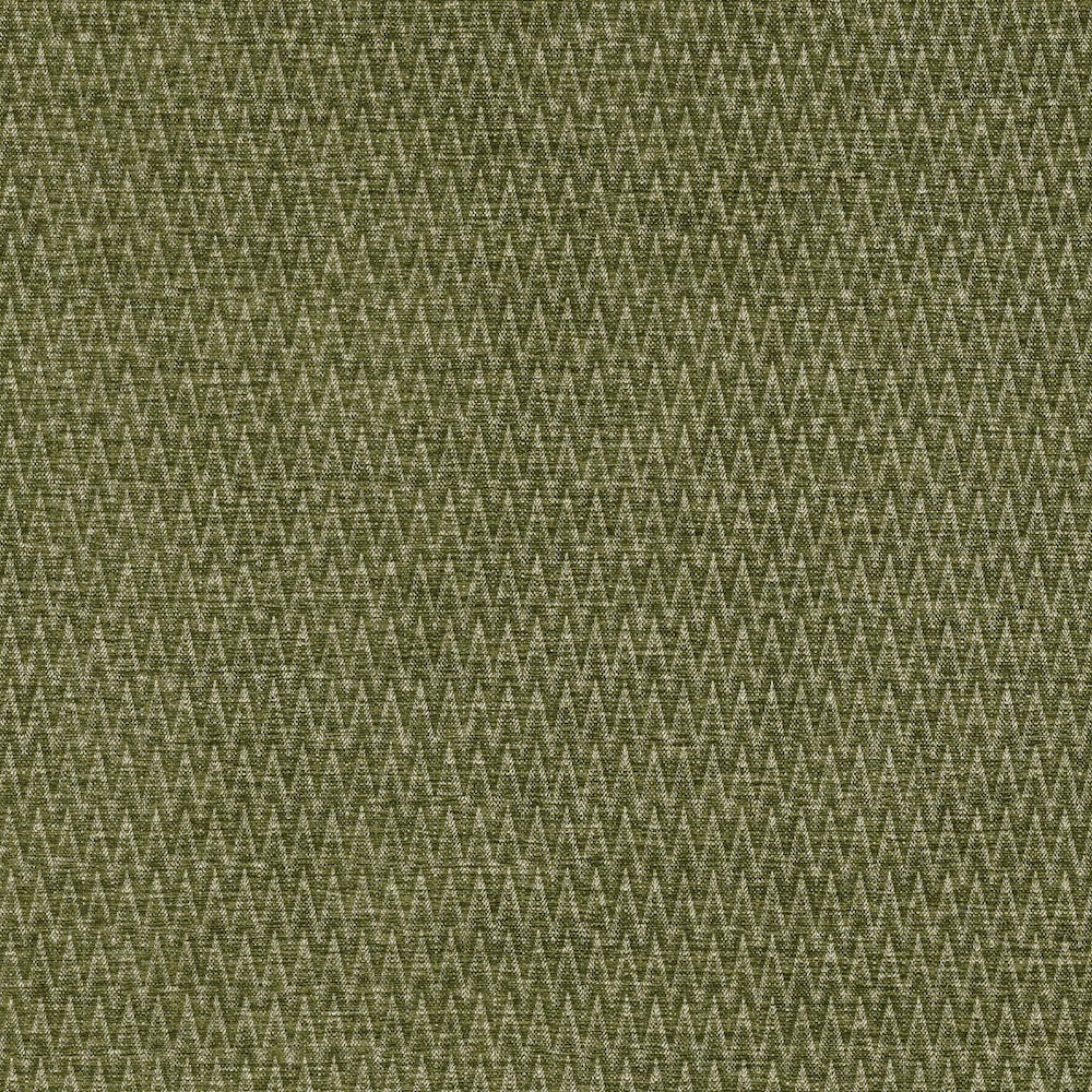 Pendhapa | MCP - Fern