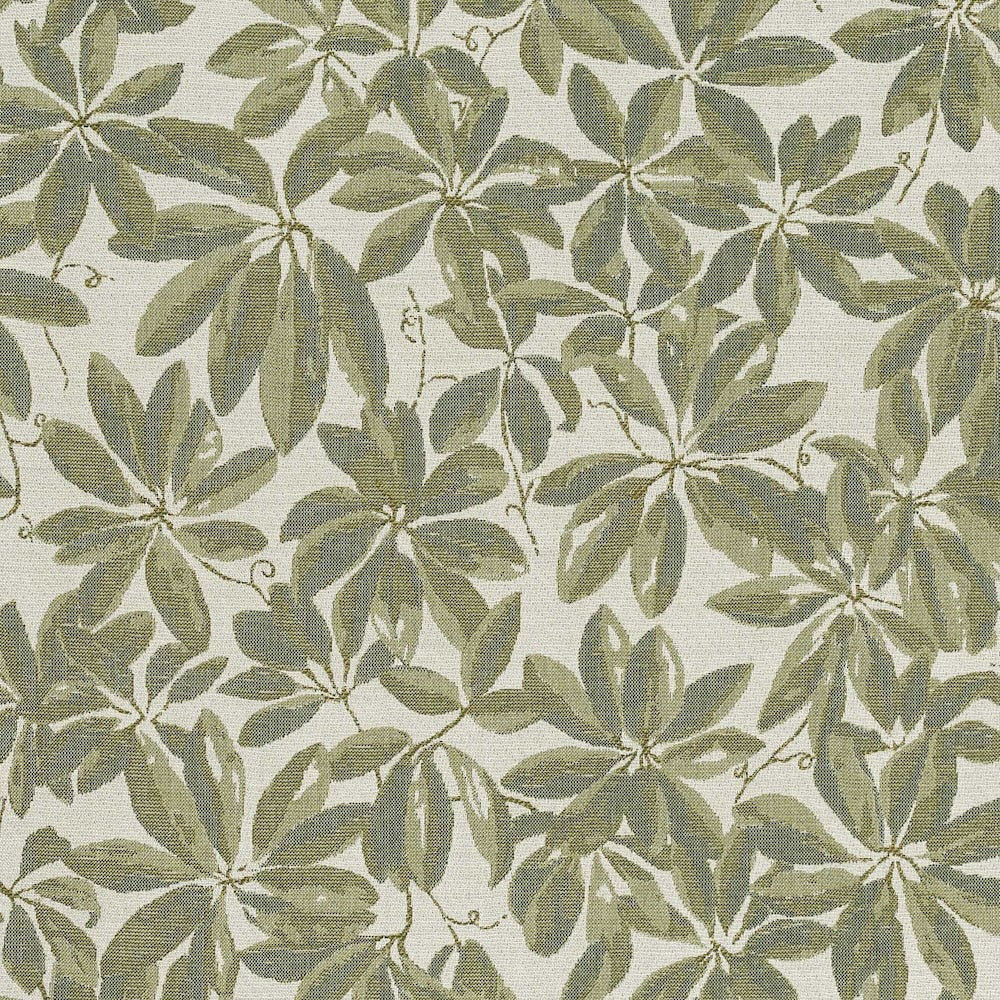 Plumeria | MCP - Fern