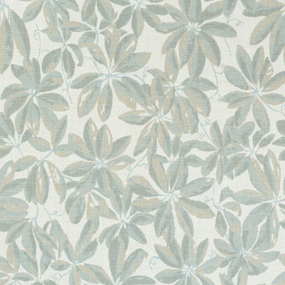 Plumeria | MCP - Sky