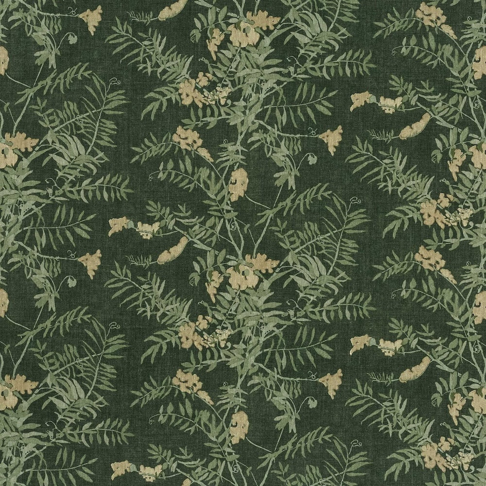 Rambler | MCP - Forest
