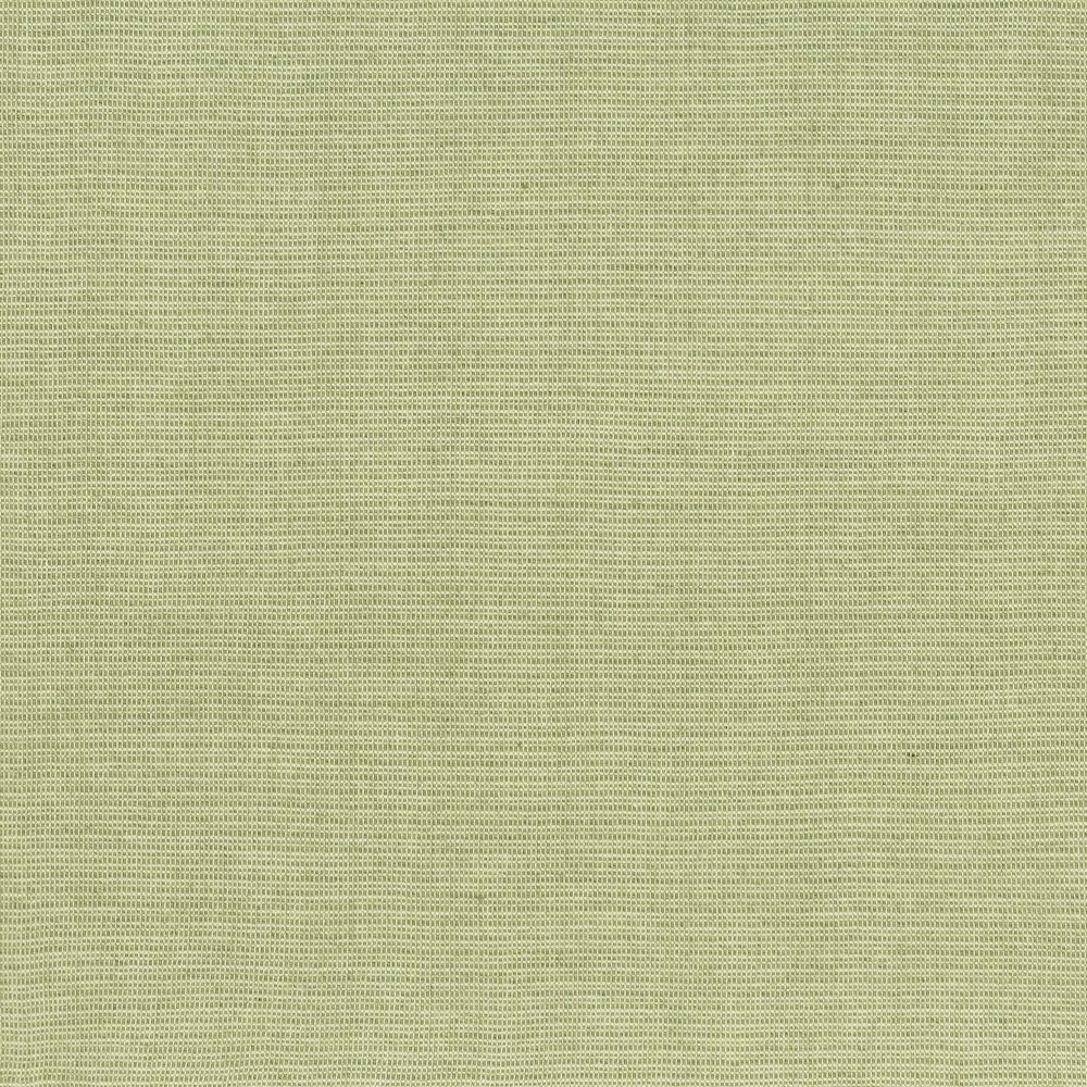 Terrain | MCP - Moss