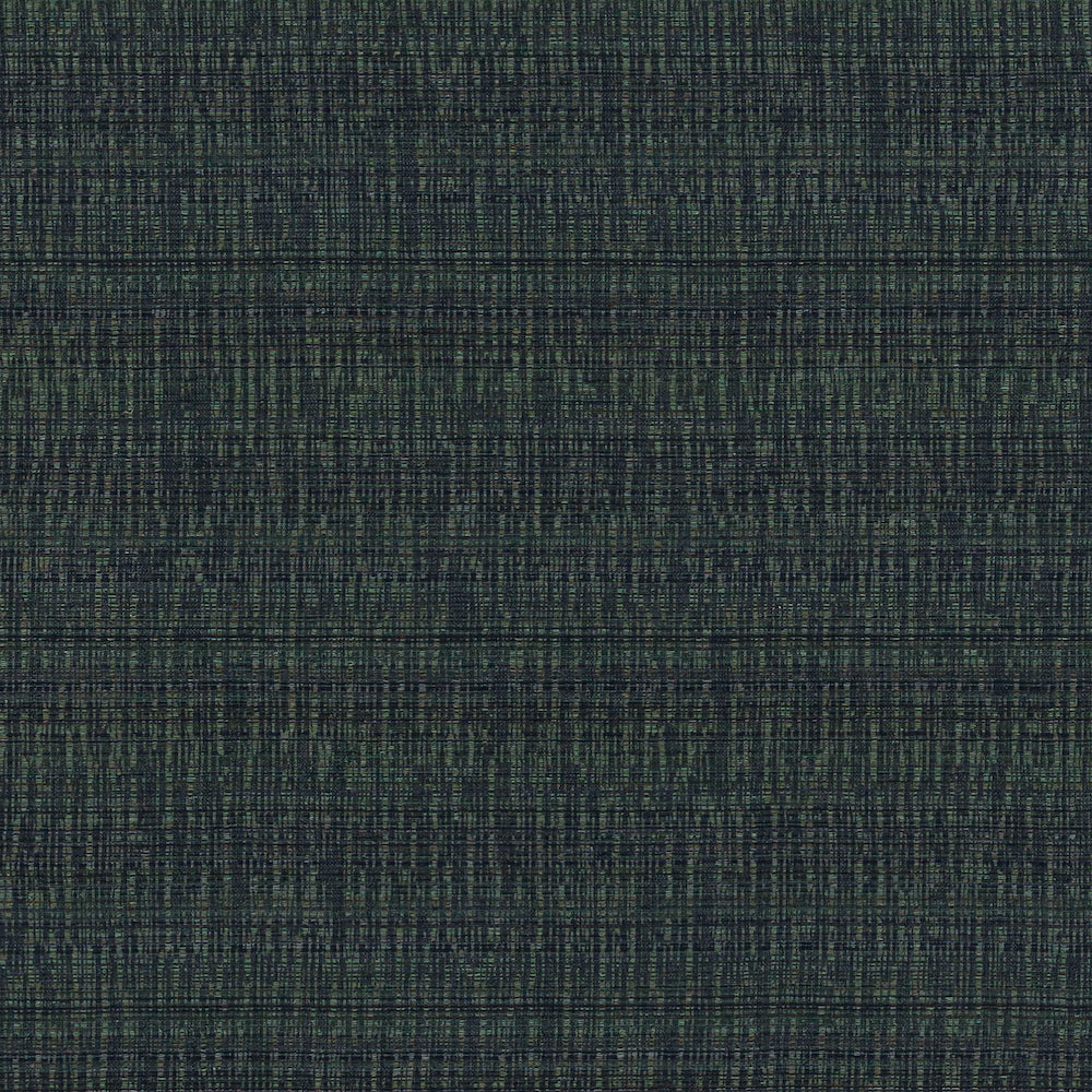Yakusugi | MCP - Forest