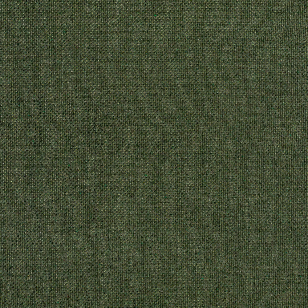 Zazen | MCP - Fern