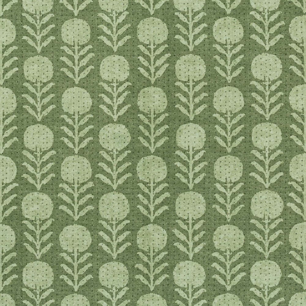 Zinnia | MCP - Fern