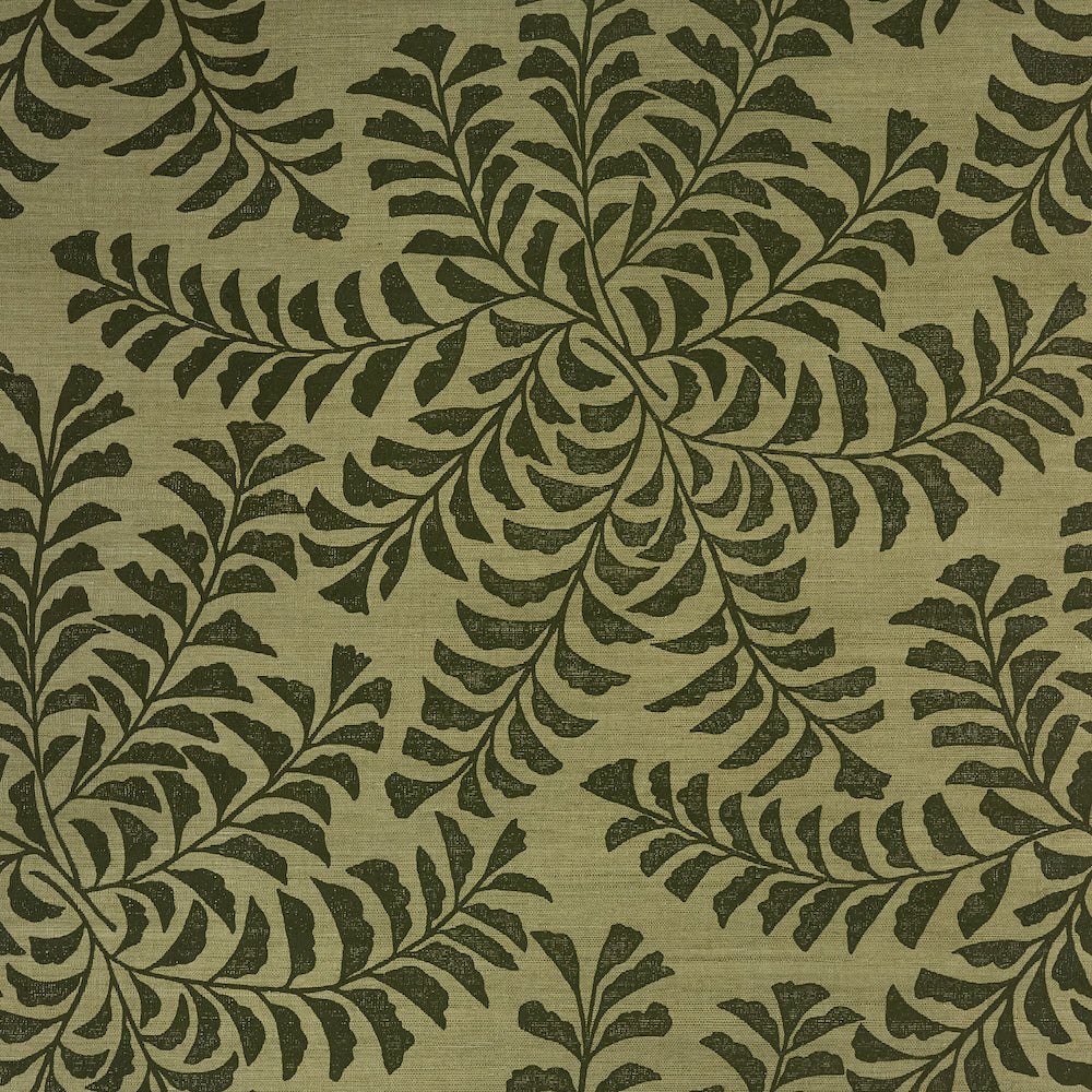 Fern GC | MCP - Moss