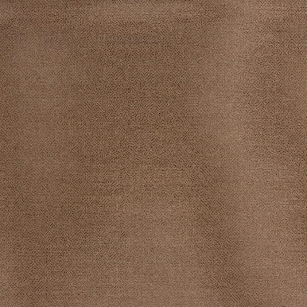 Aswan WP | MCP - Spice