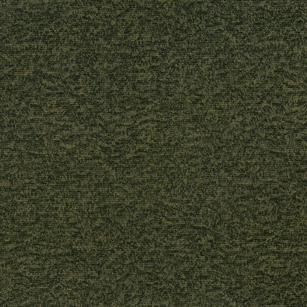 Pamir WP | MCP - Forest