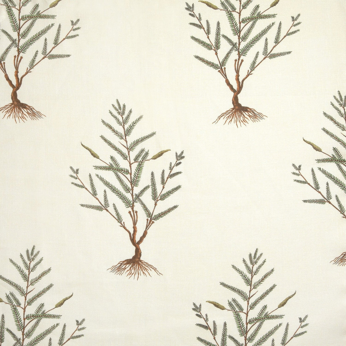 Idlewild | MET - Natural