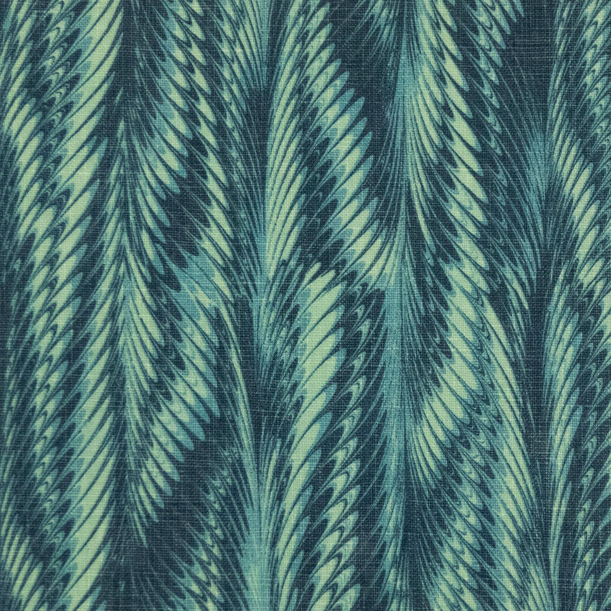 Serpetti | MLB - Ocean