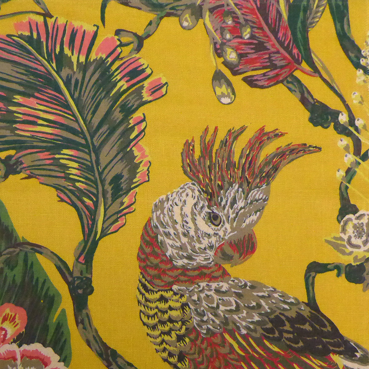 Tropicana | MLB - Saffron