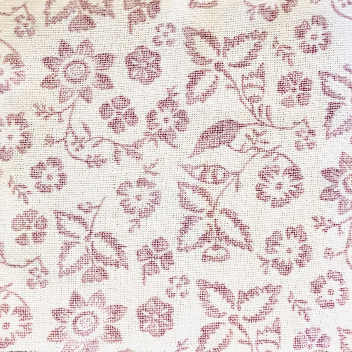 Highclere Rose | MLB - Lavender