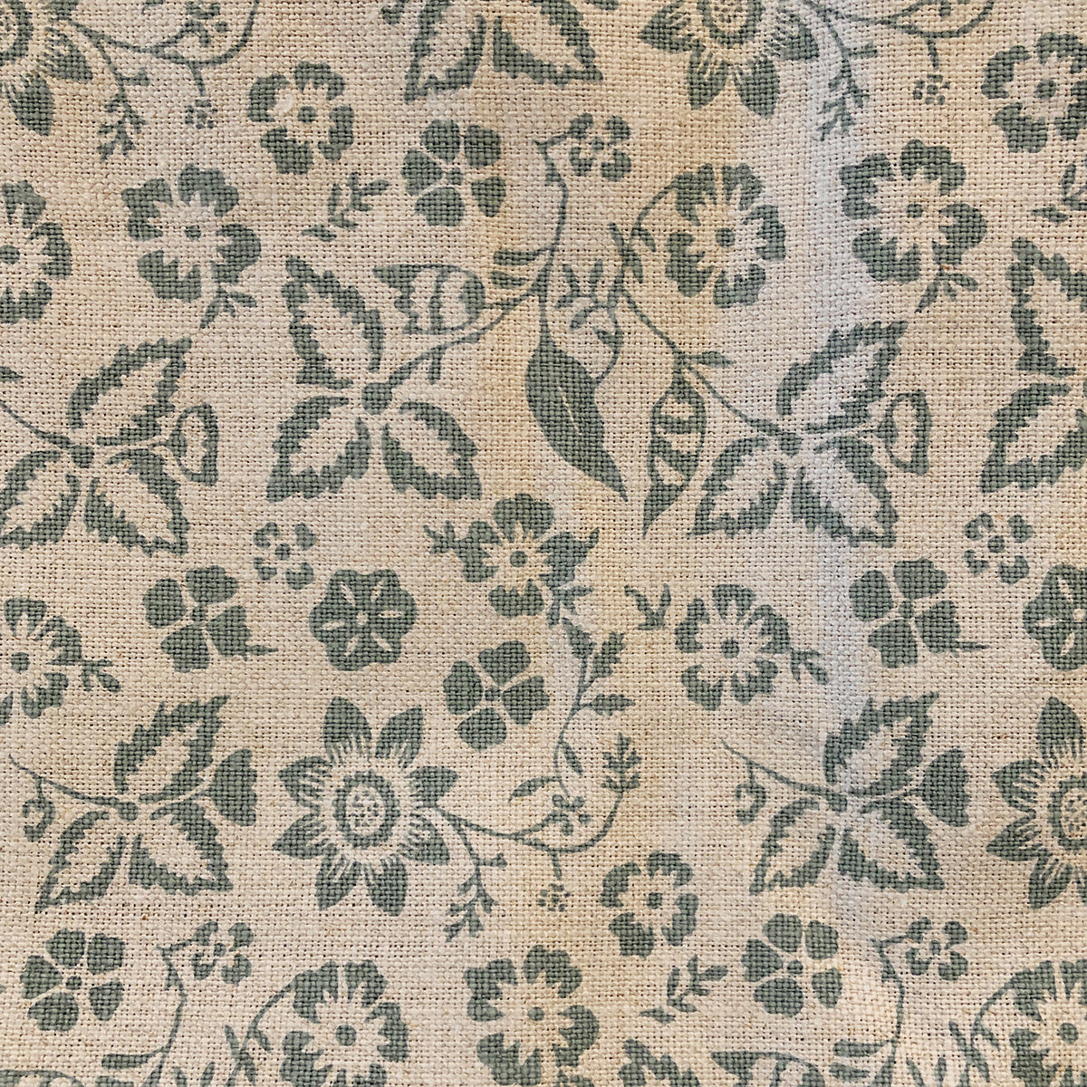 Highclere Rose | MLB - Teal
