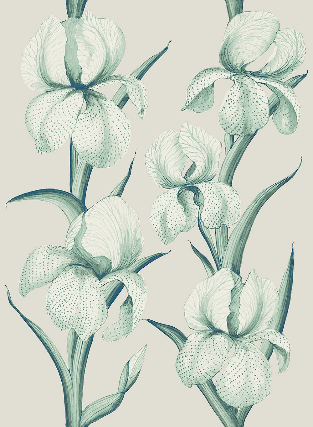 Rayures d’Iris WP | MR - Aquamarine