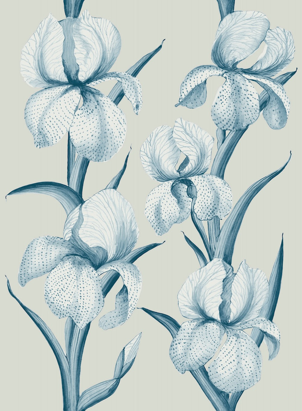 Rayures d’Iris WP | MR - Nimes Blue