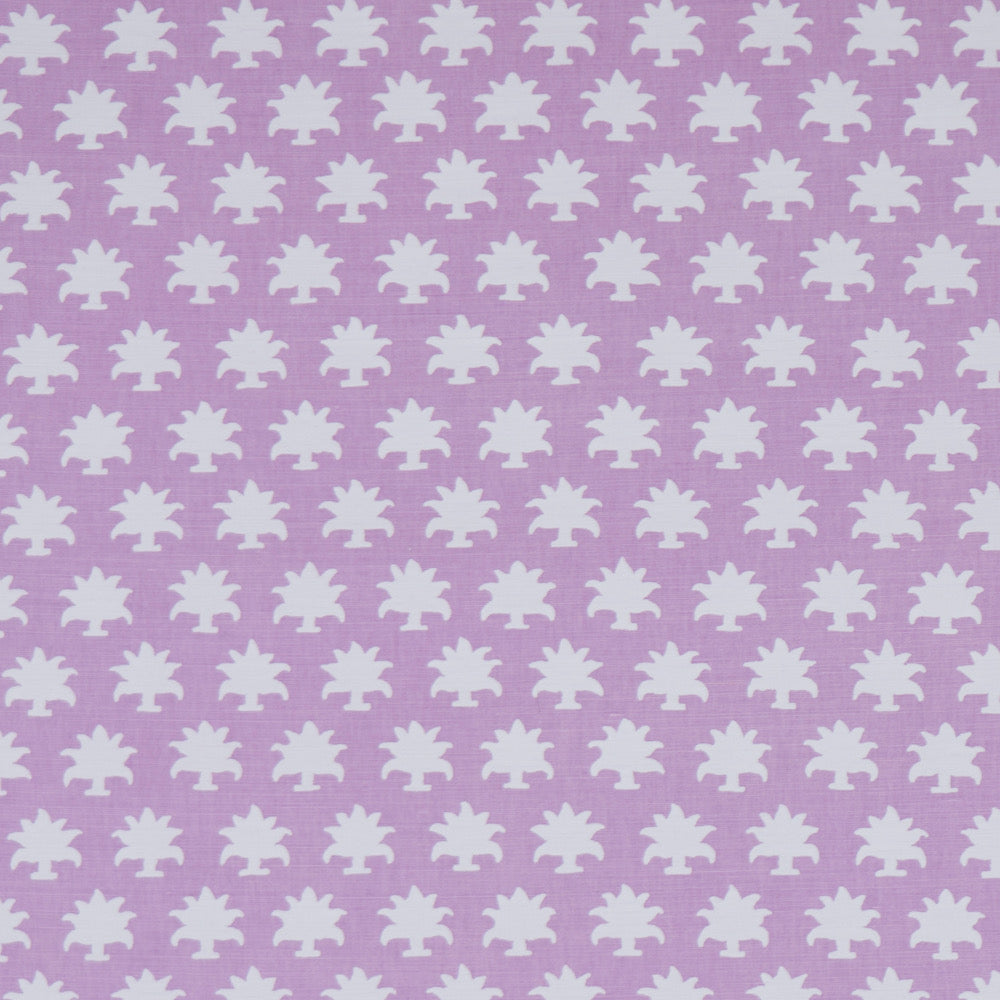 Flora Too | MS - Orchid