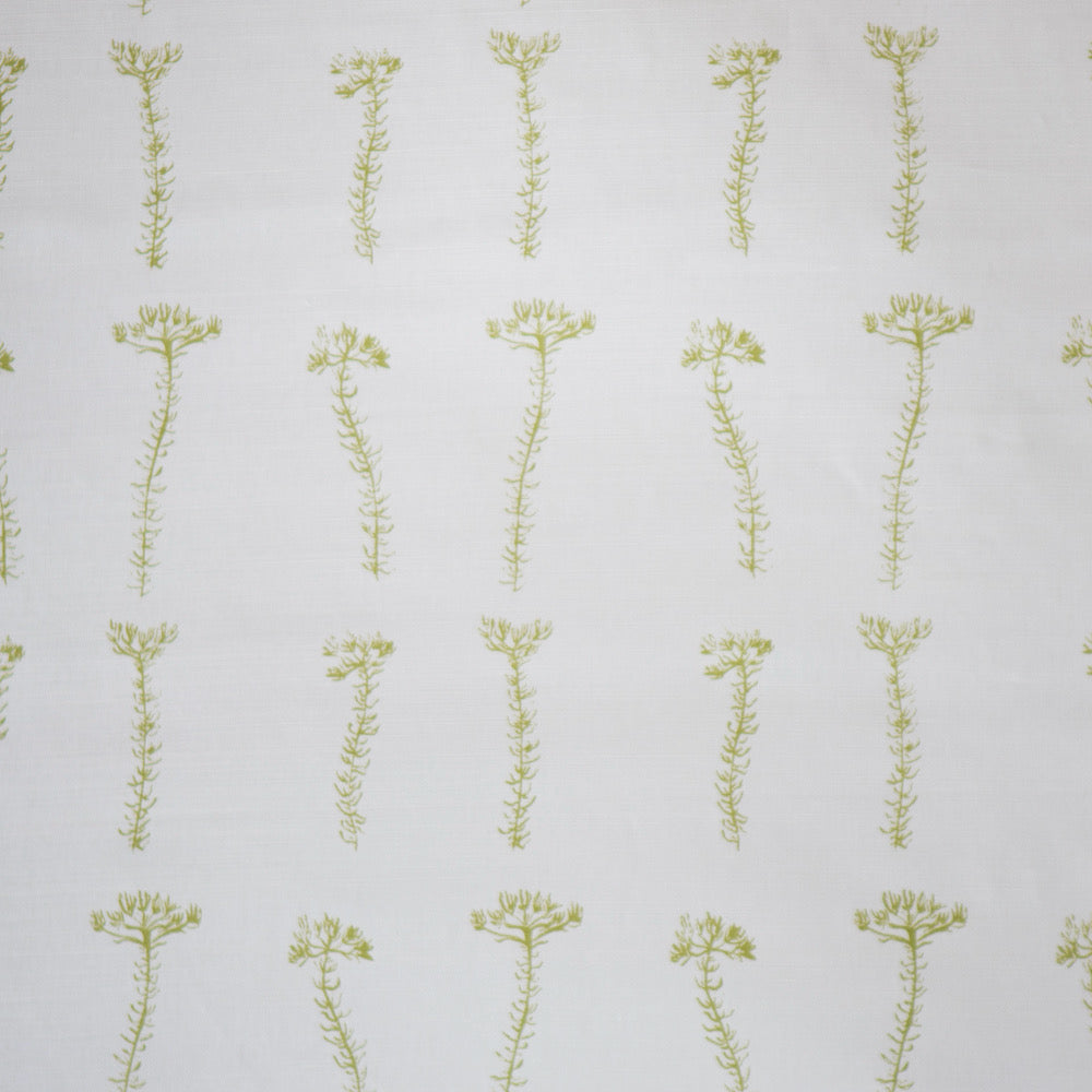 Fynbos Sprig | MS - Peridot