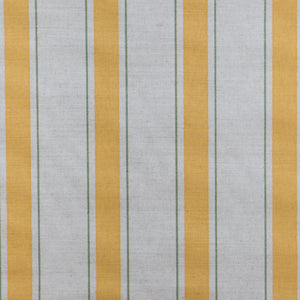 Indian Stripe | MS