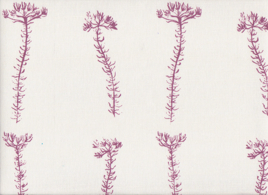 Fynbos Sprig | MS - Berry