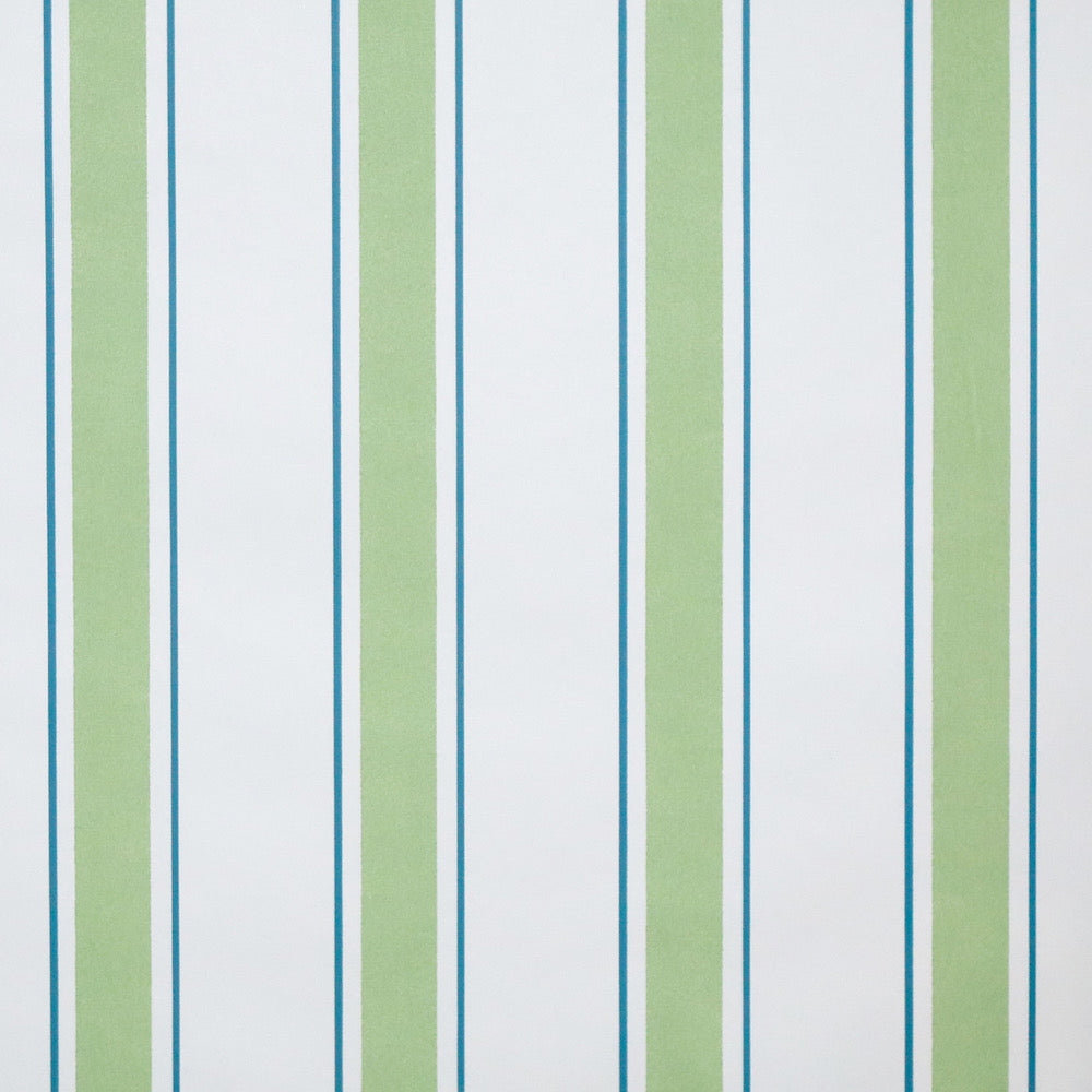 Indian Stripe WP | MS - Lime/Aqua