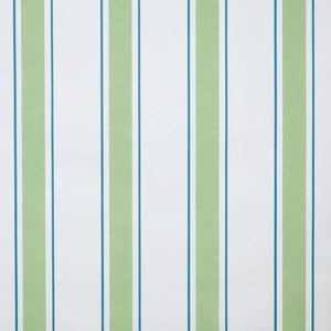 Indian Stripe WP | MS