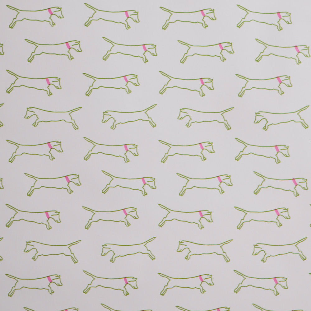 Isabella WP | MS - Lime/Pink
