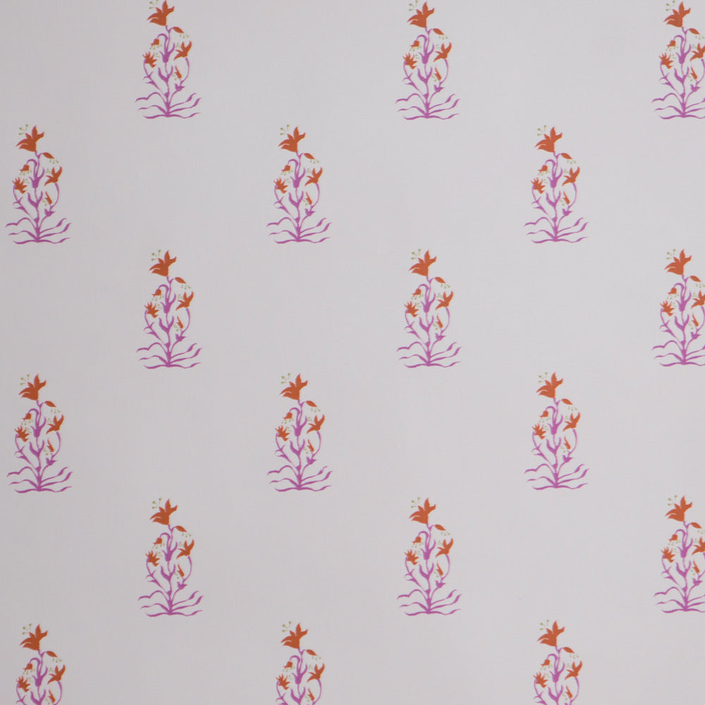 Mewar WP | MS - Pink/Orange