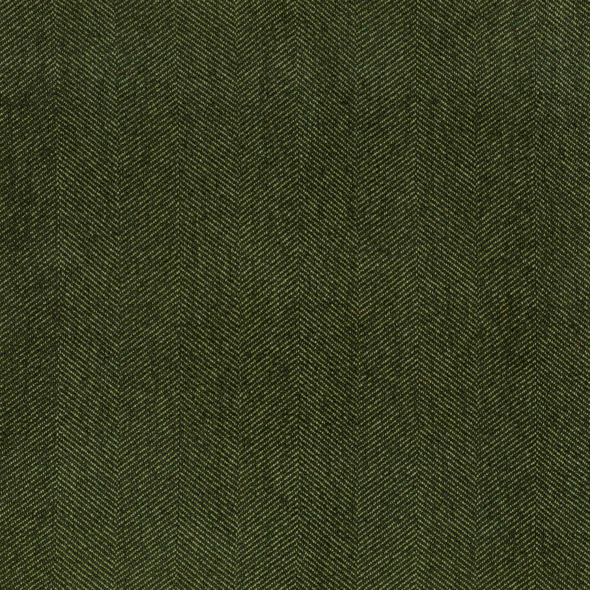 Bartholomew | MCP - Fern