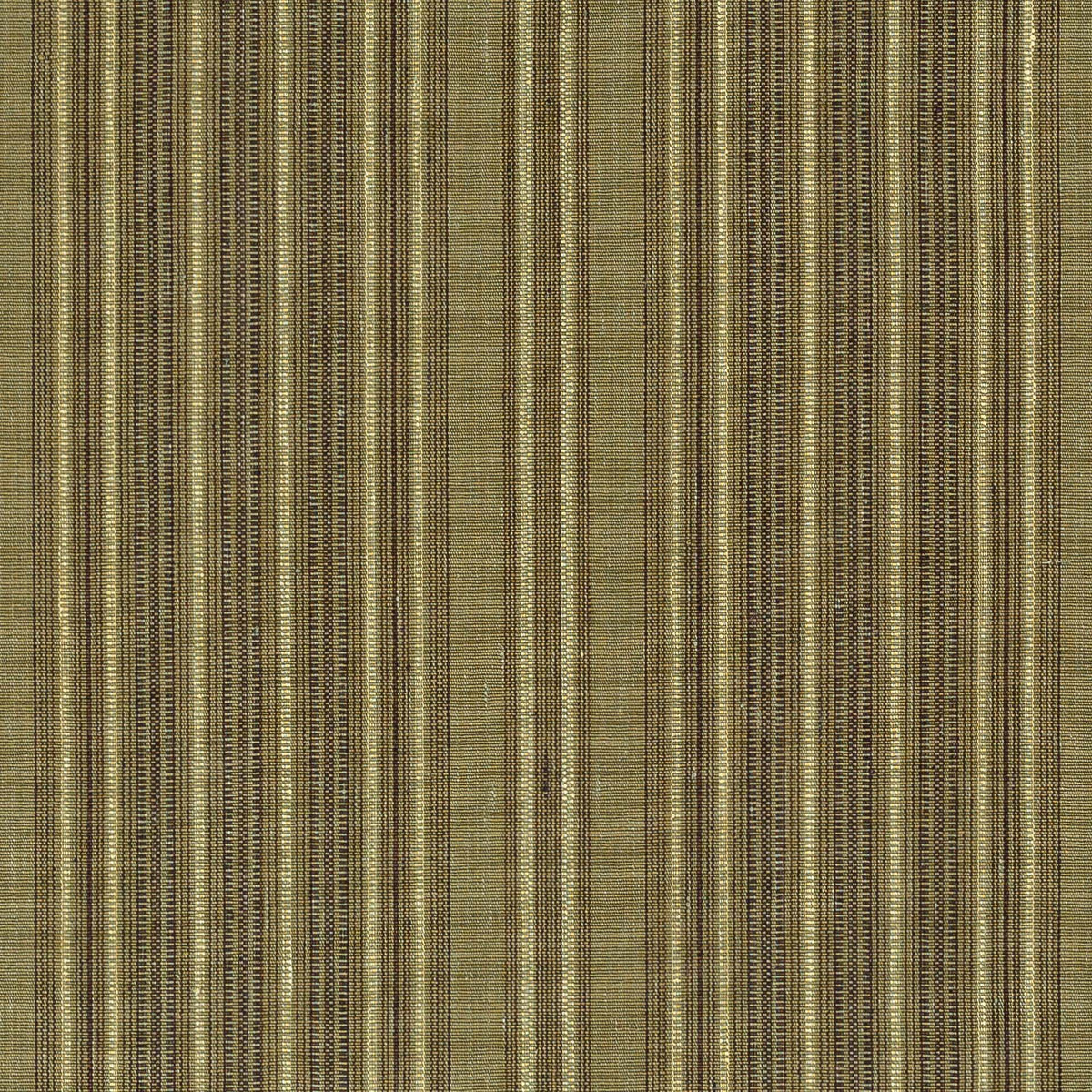 Caspian | MCP - Kelp