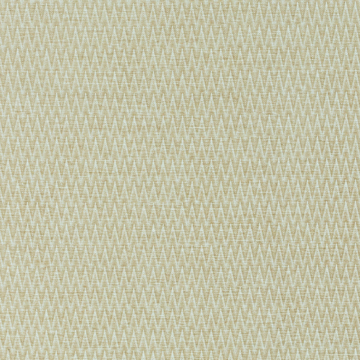 Pendhapa | MCP - Lichen