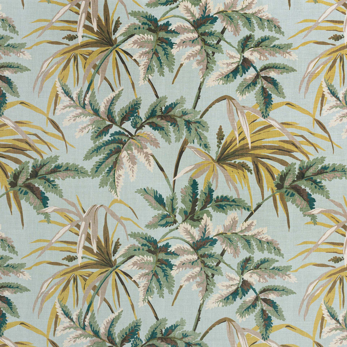 Tanimbar | MCP - Calypso