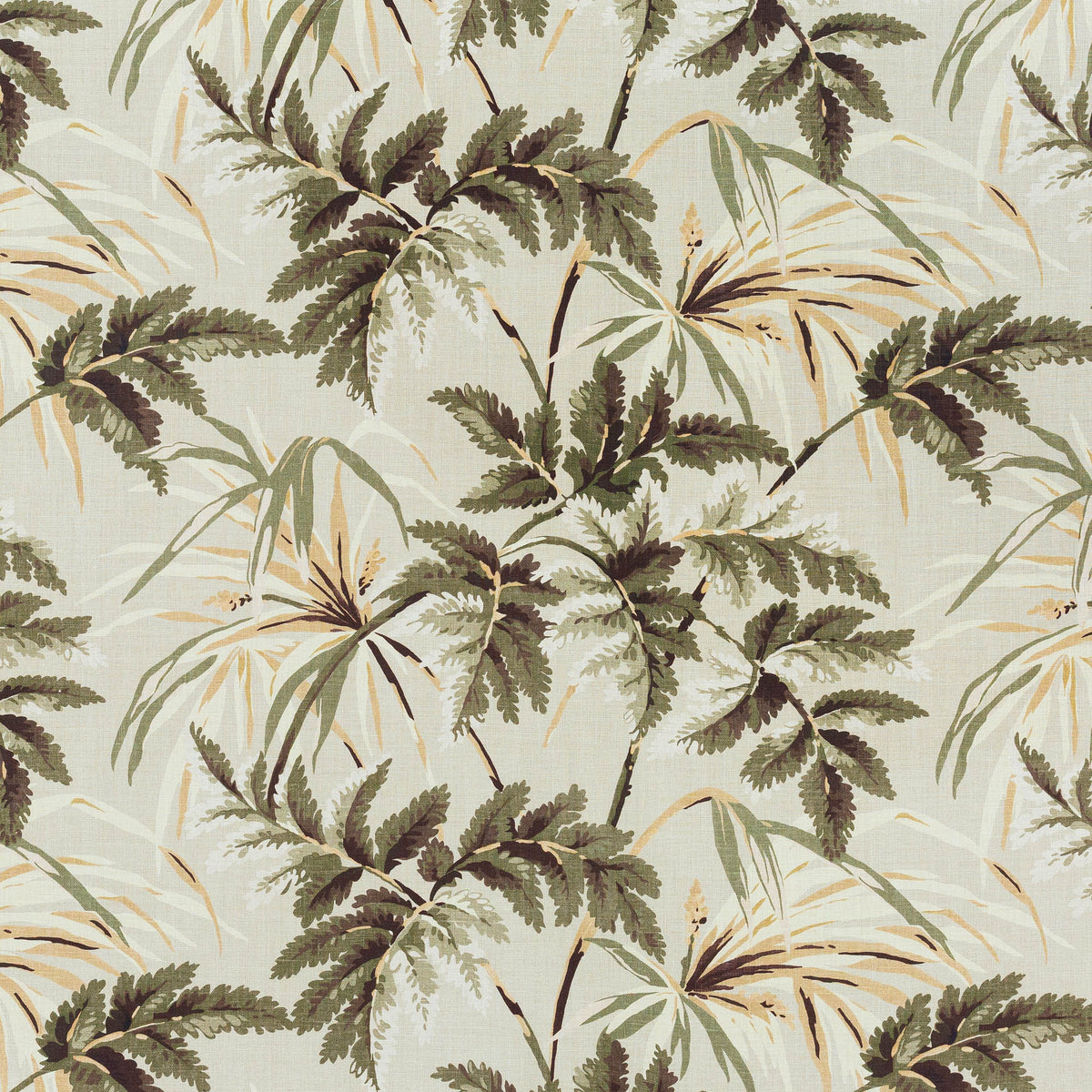 Tanimbar | MCP - Olive