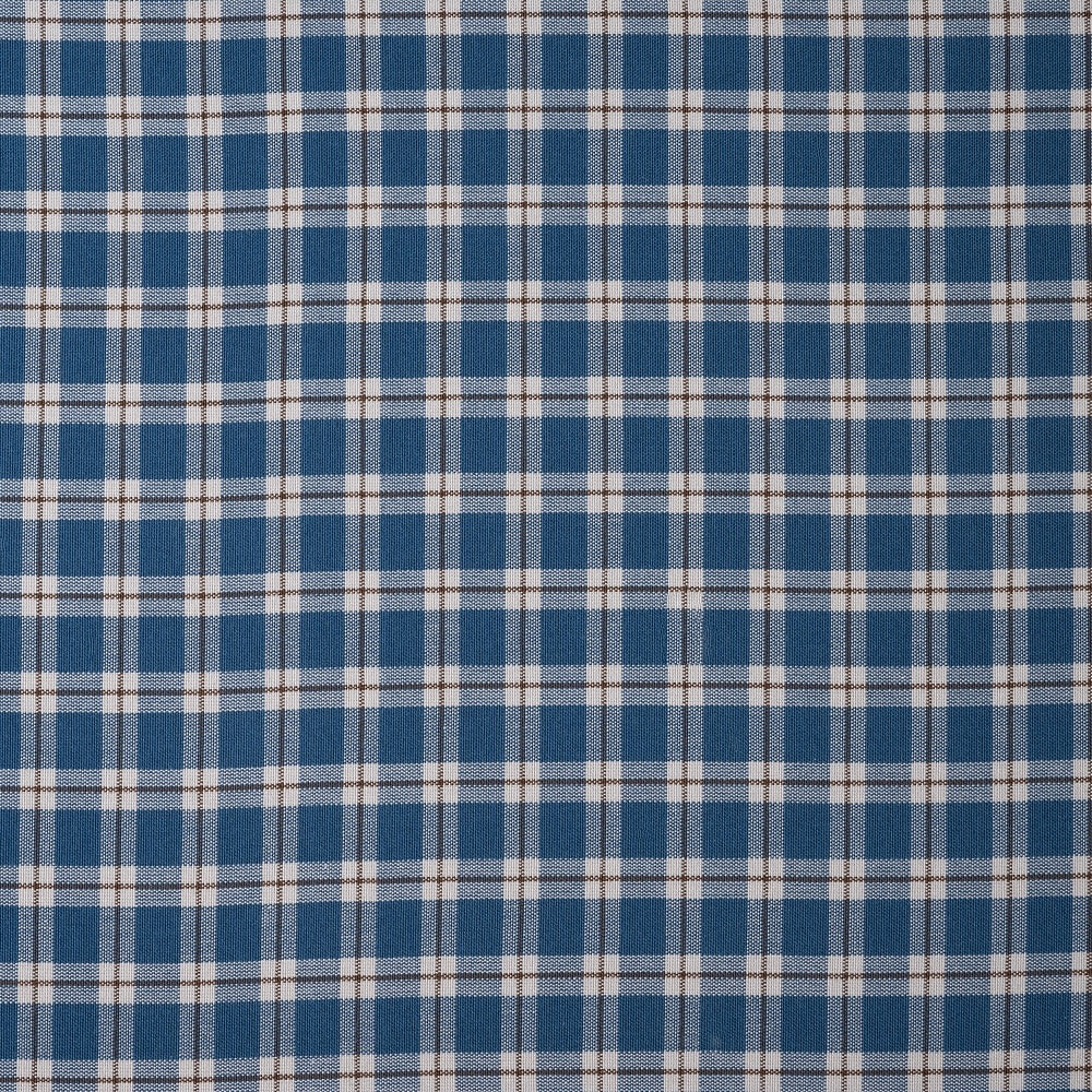 Well Plaid | NIX - Blue/Brown