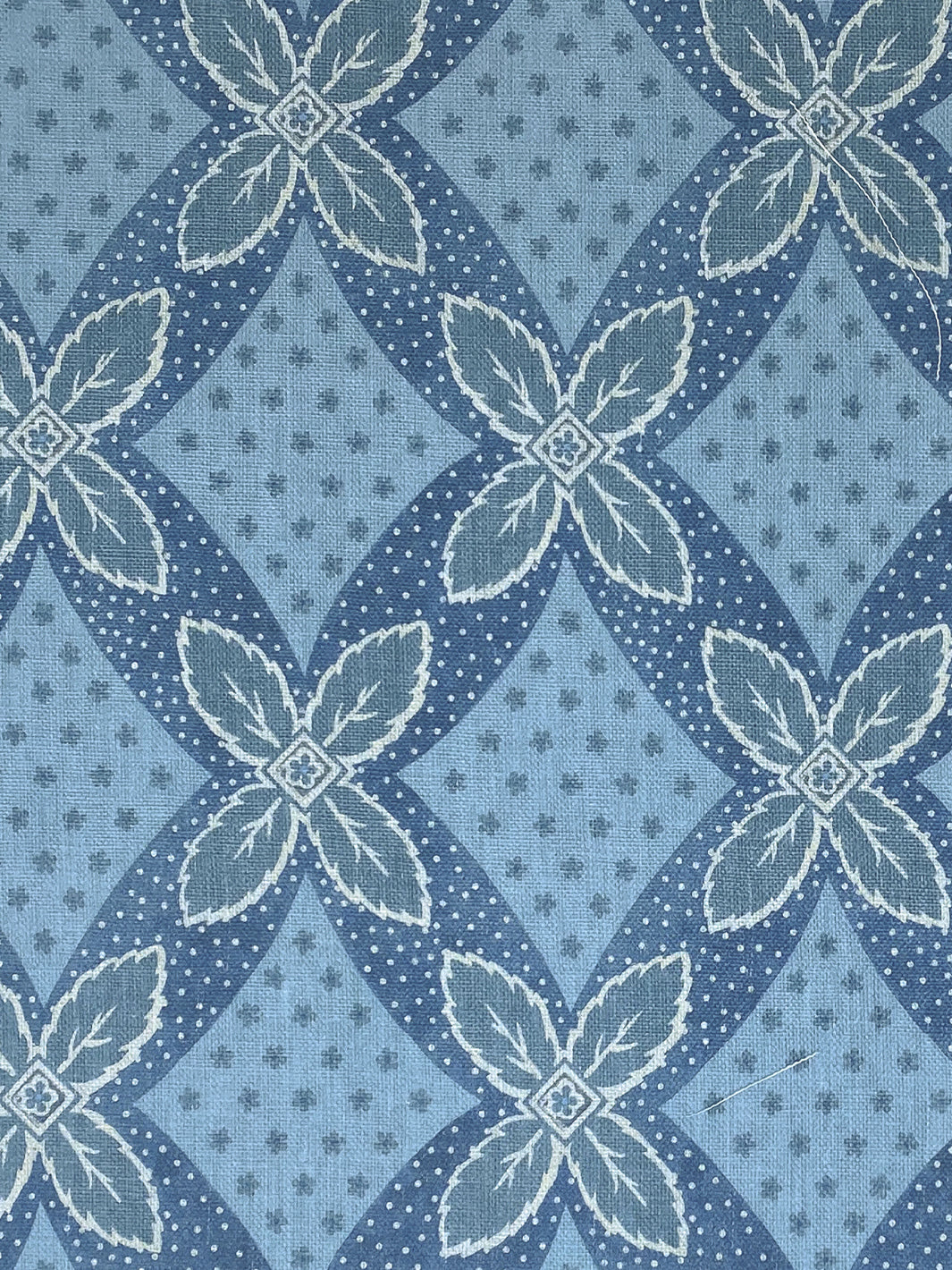 Arthur | NT - Blue on Blue