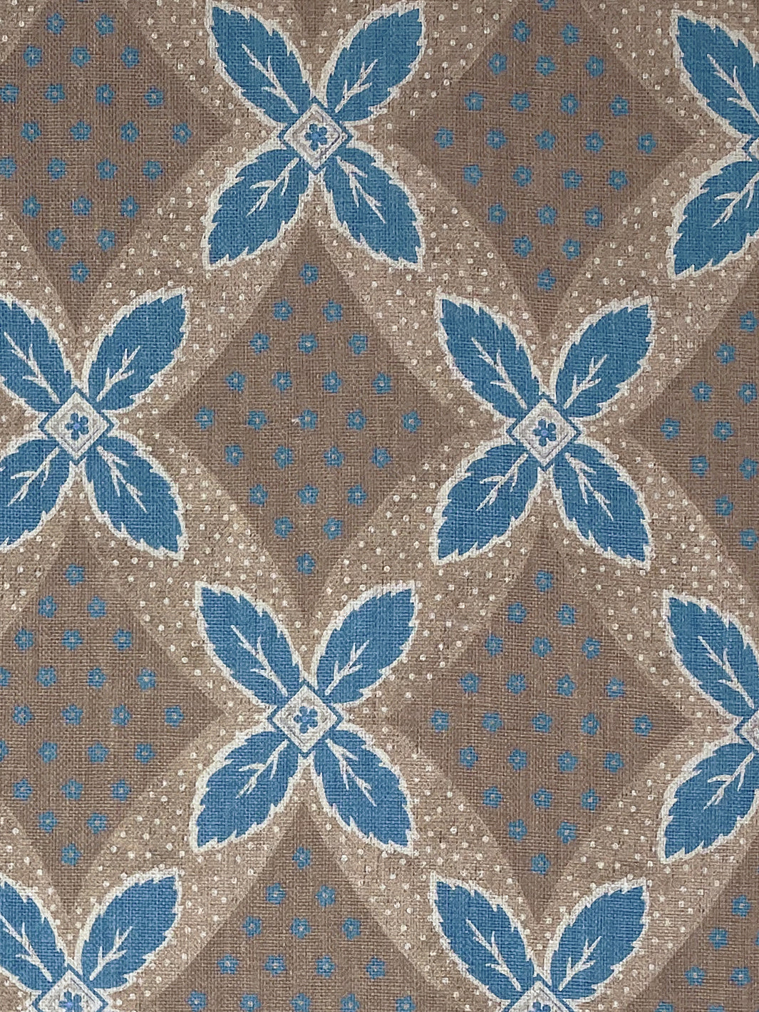 Arthur | NT - Blue on Brown