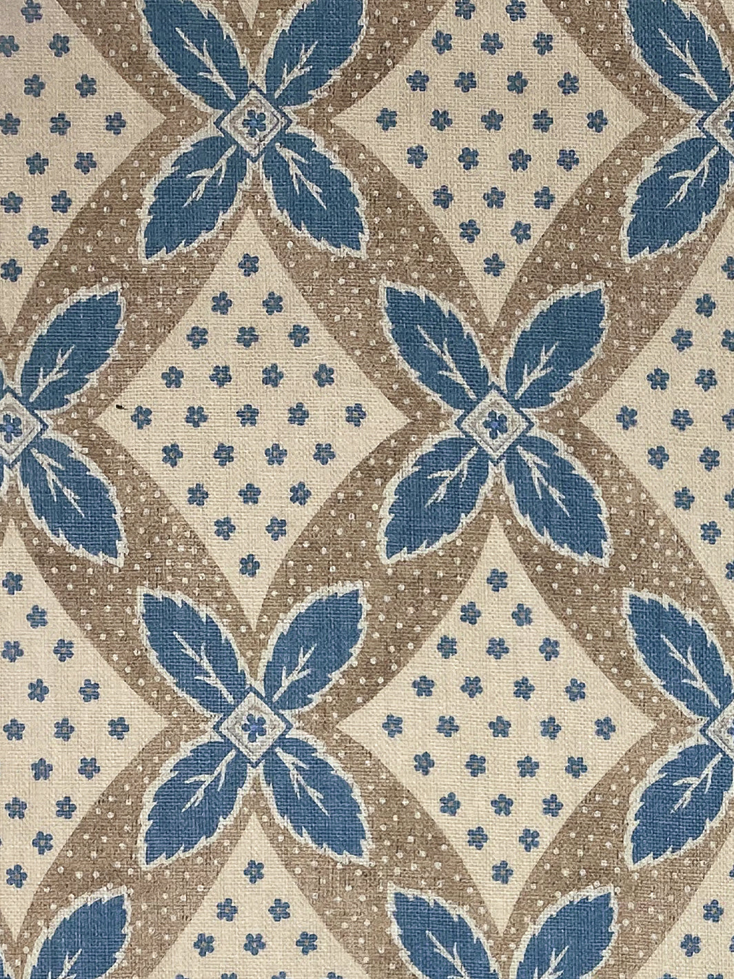 Arthur | NT - Blue on Taupe
